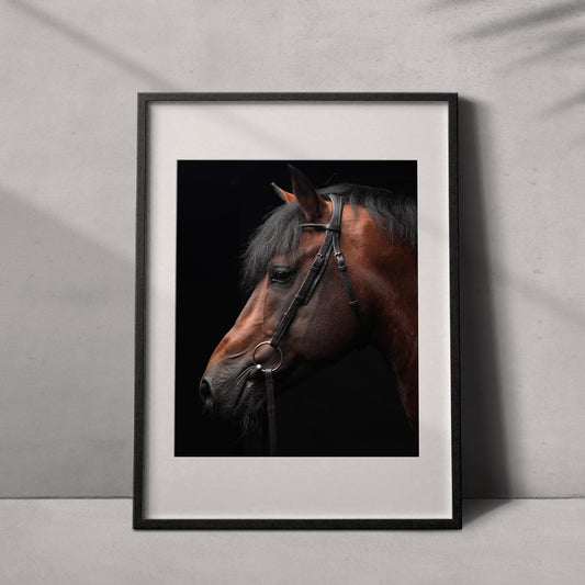 Portrait of a horse #01 - Limited Edition - ArtDarts poster