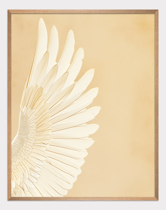 White wing of the peace Poster