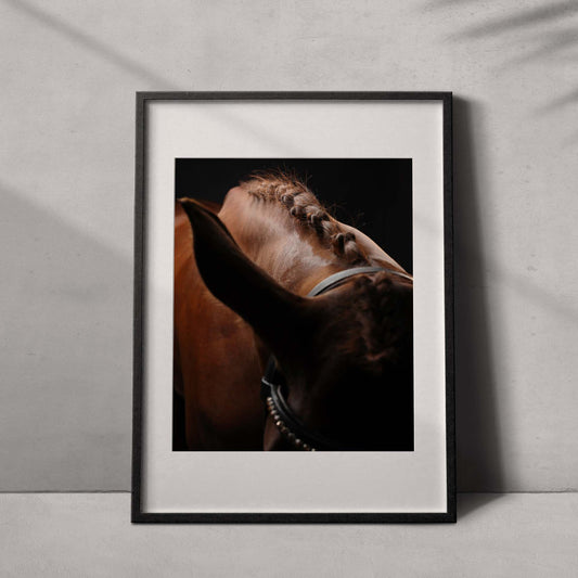 Portrait of a horse #02 - Limited Edition - ArtDarts poster