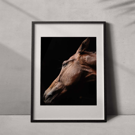 Portrait of a horse #08 - Limited Edition - ArtDarts poster