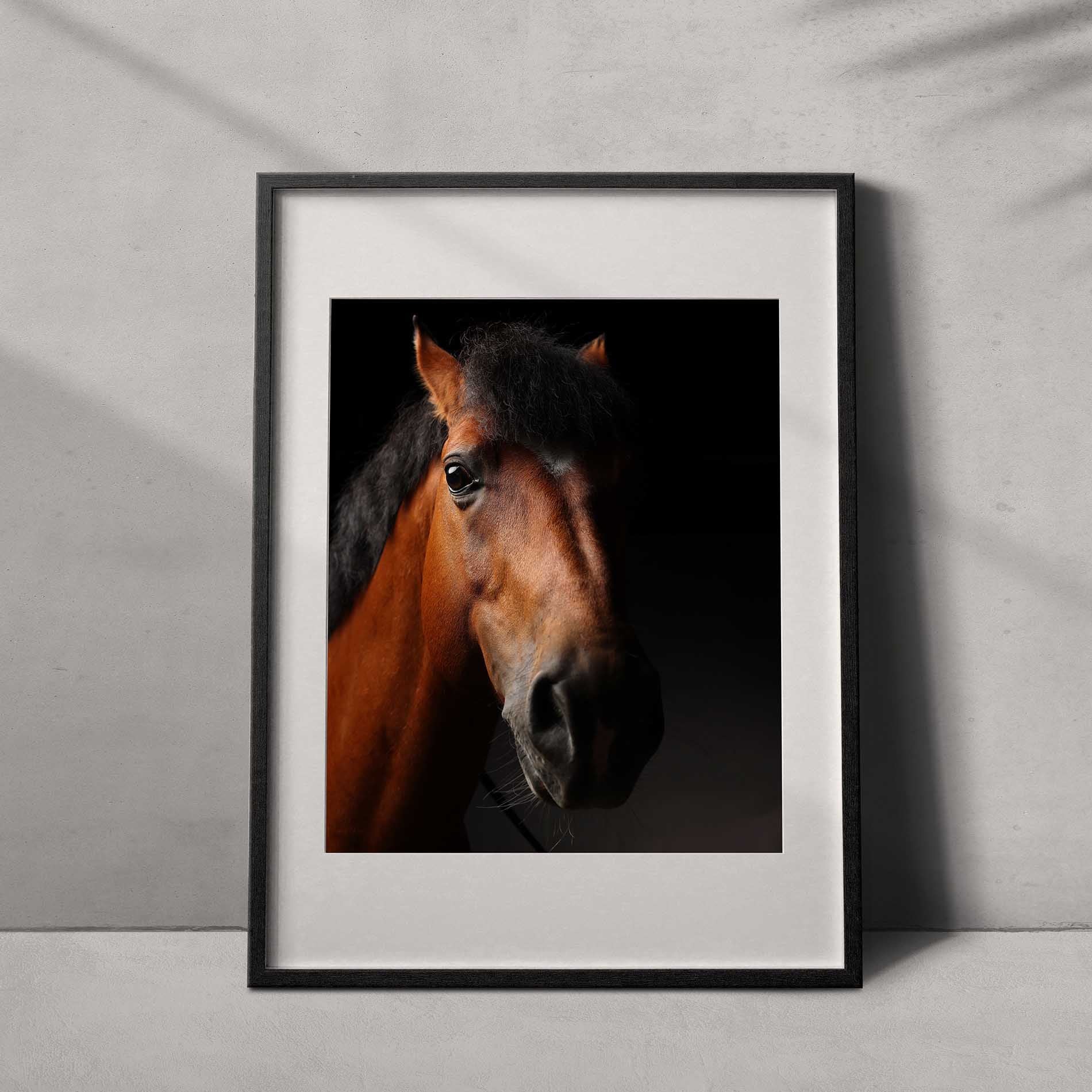 Portrait of a horse #04 - Limited Edition - ArtDarts poster