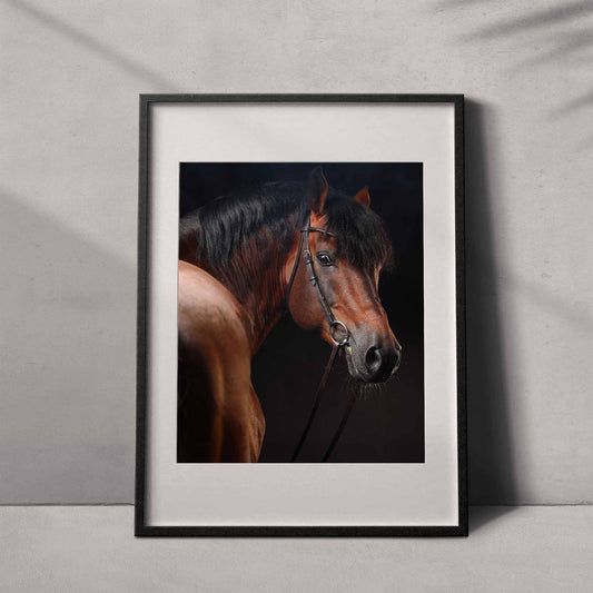 Portrait of a horse #05 - Limited Edition - ArtDarts poster