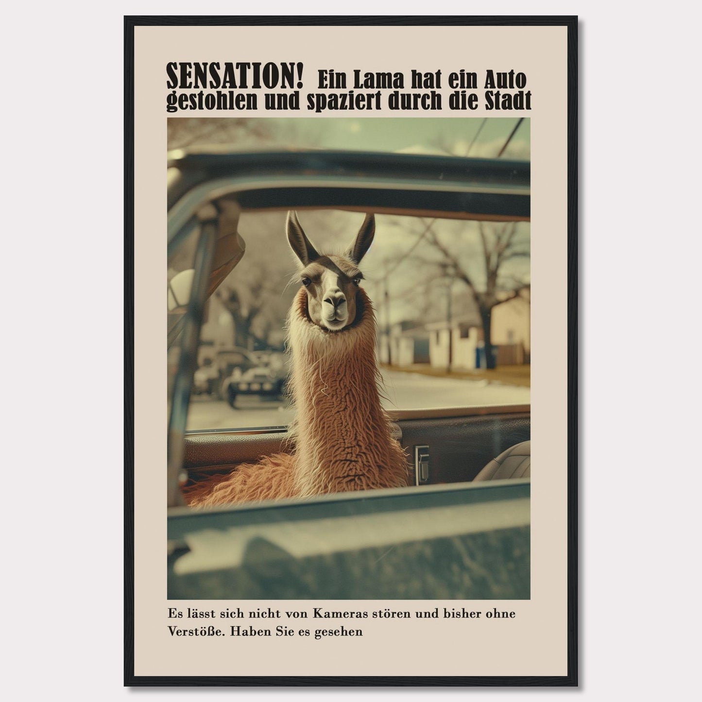 SENSATION! A llama has stolen a car and is strolling through the city.  It is not bothered by cameras and so far has committed no offenses. Have you seen it?