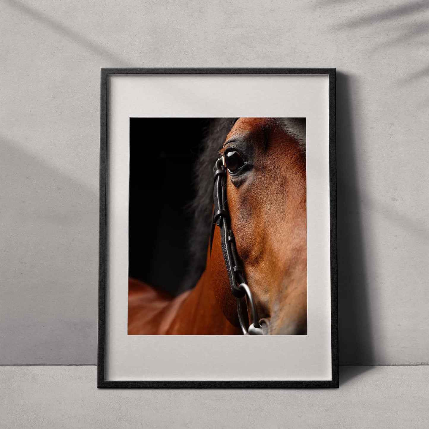 Portrait of a horse #07 - Limited Edition - ArtDarts poster