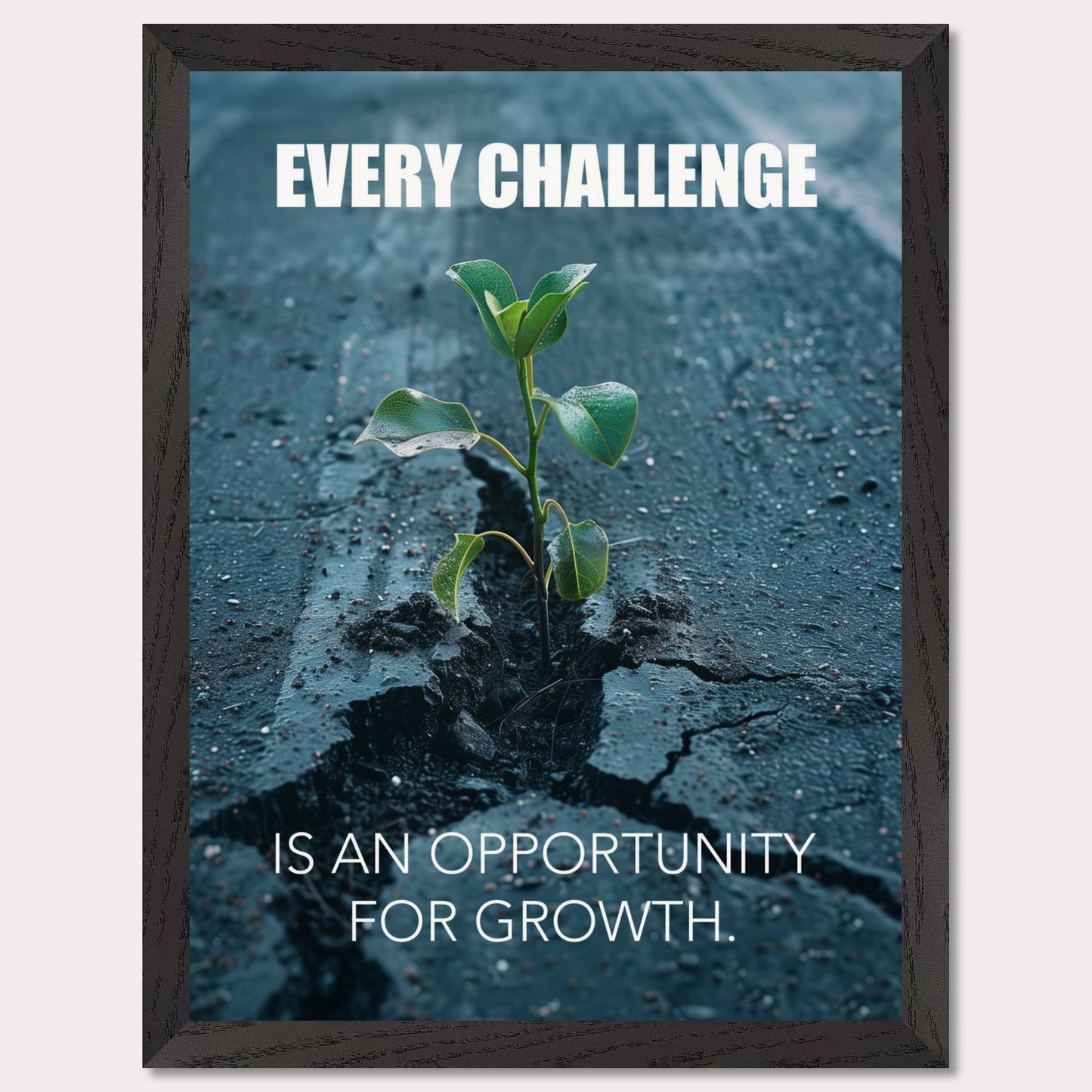 A motivational poster featuring a small green plant sprouting through a crack in the asphalt. The text on the poster reads "EVERY CHALLENGE IS AN OPPORTUNITY FOR GROWTH." The image symbolizes resilience and perseverance.