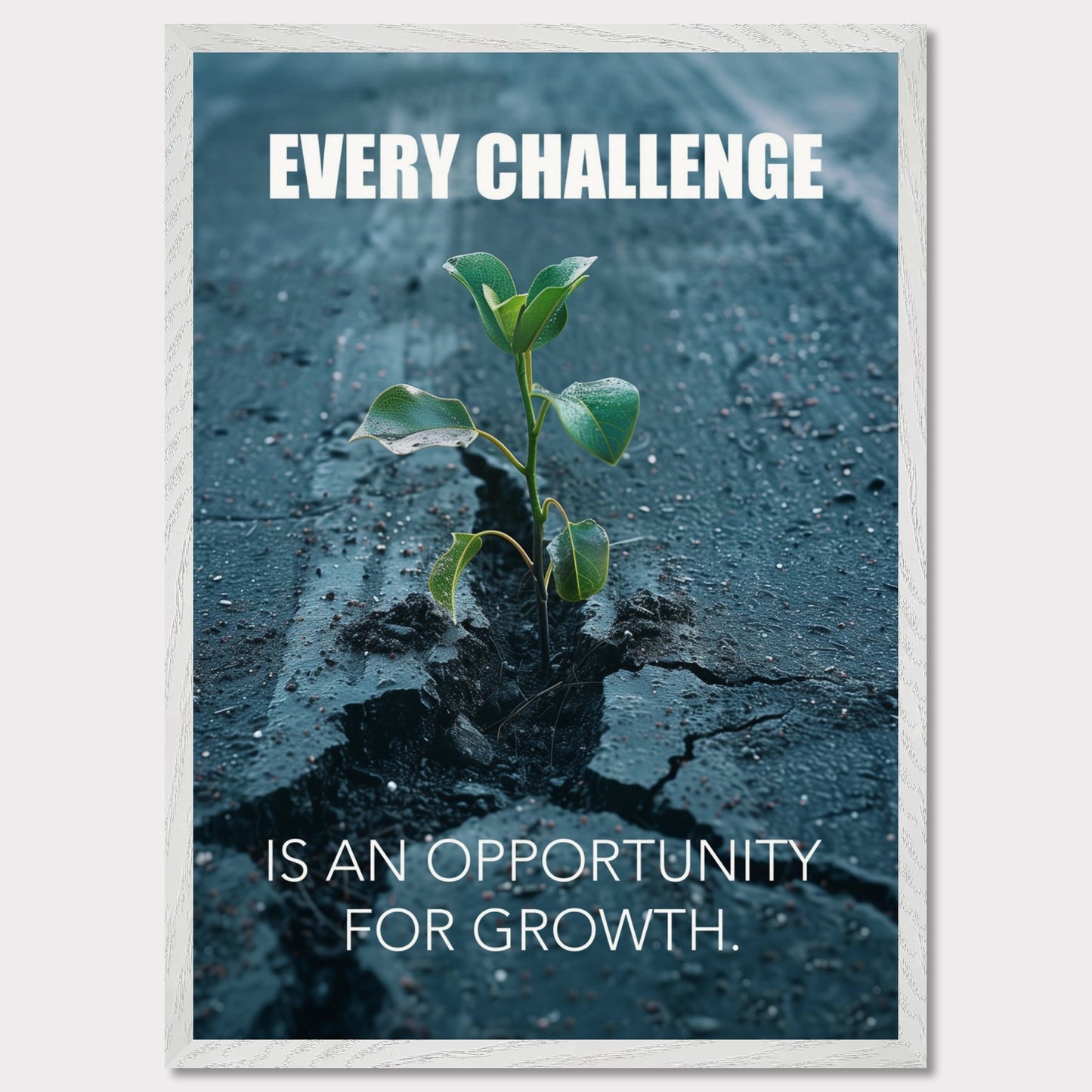 A motivational poster featuring a small green plant sprouting through a crack in the asphalt. The text on the poster reads "EVERY CHALLENGE IS AN OPPORTUNITY FOR GROWTH." The image symbolizes resilience and perseverance.