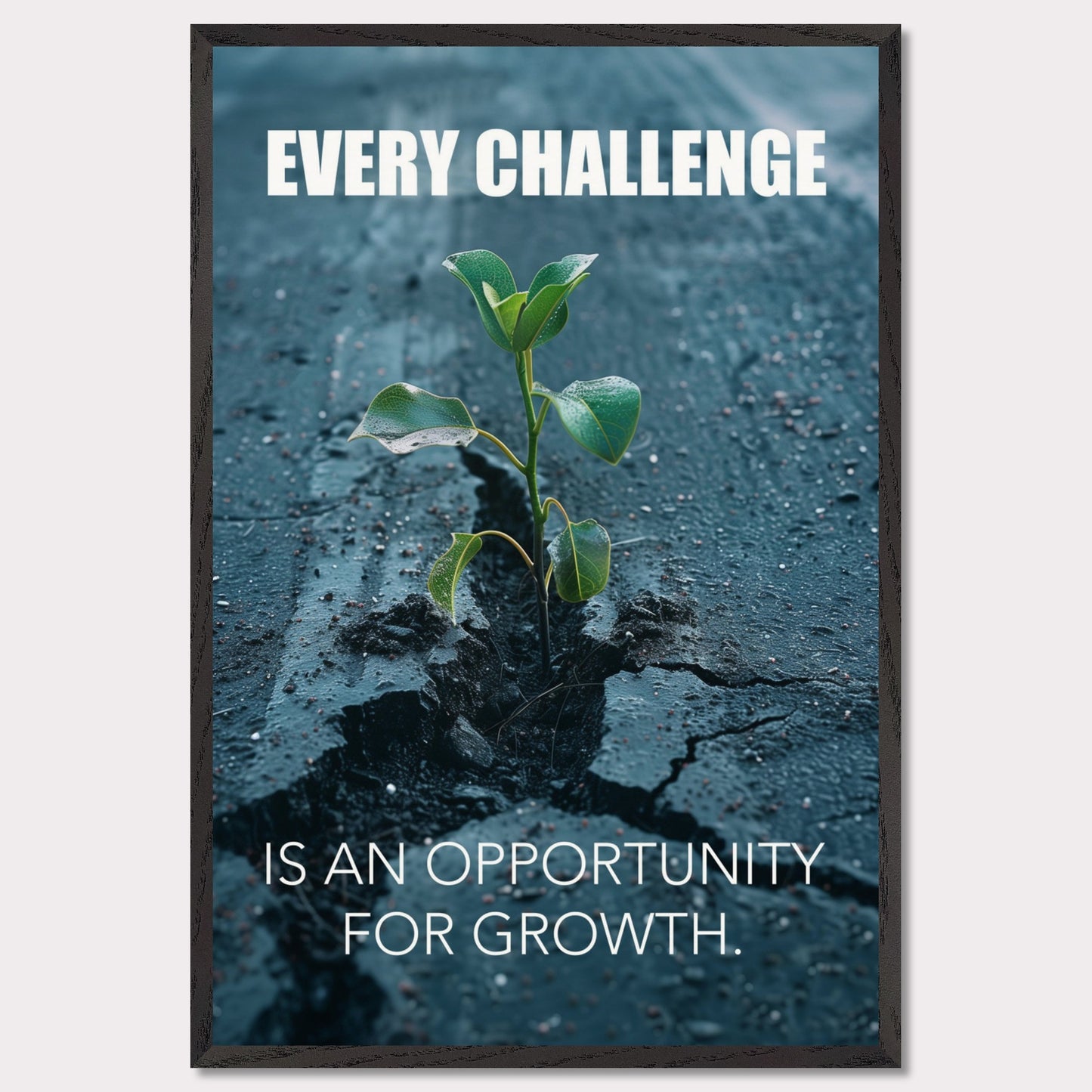 A motivational poster featuring a small green plant sprouting through a crack in the asphalt. The text on the poster reads "EVERY CHALLENGE IS AN OPPORTUNITY FOR GROWTH." The image symbolizes resilience and perseverance.