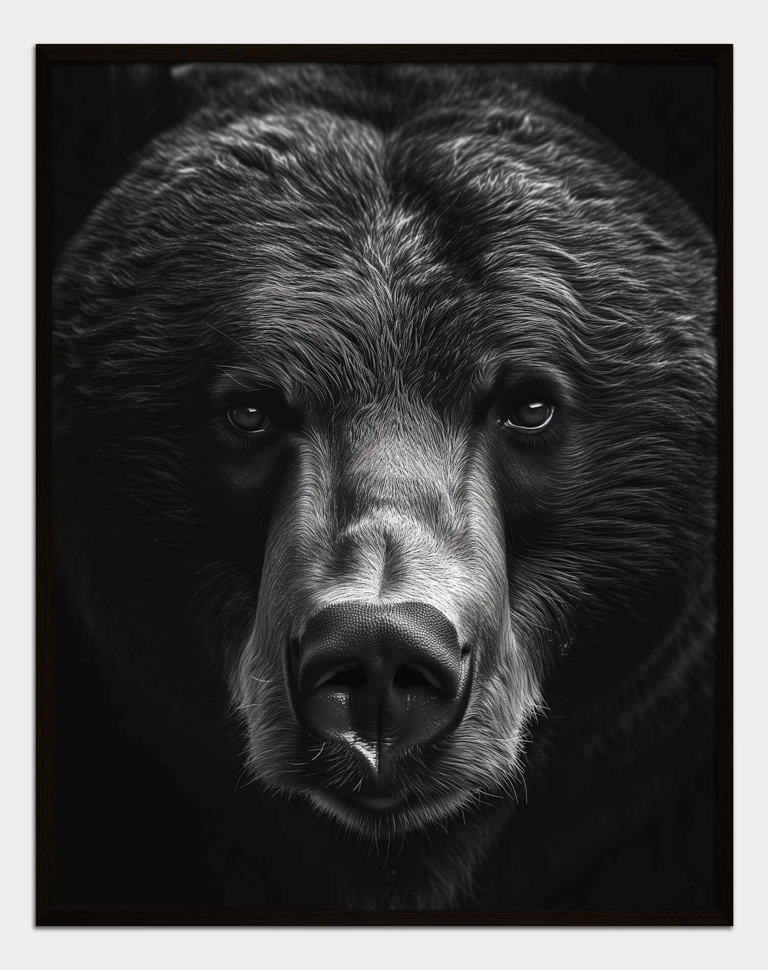 Bear Look Poster.