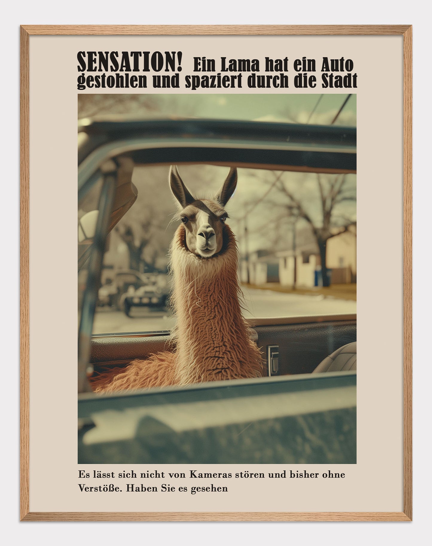 Lama on its own Poster - ArtDarts poster