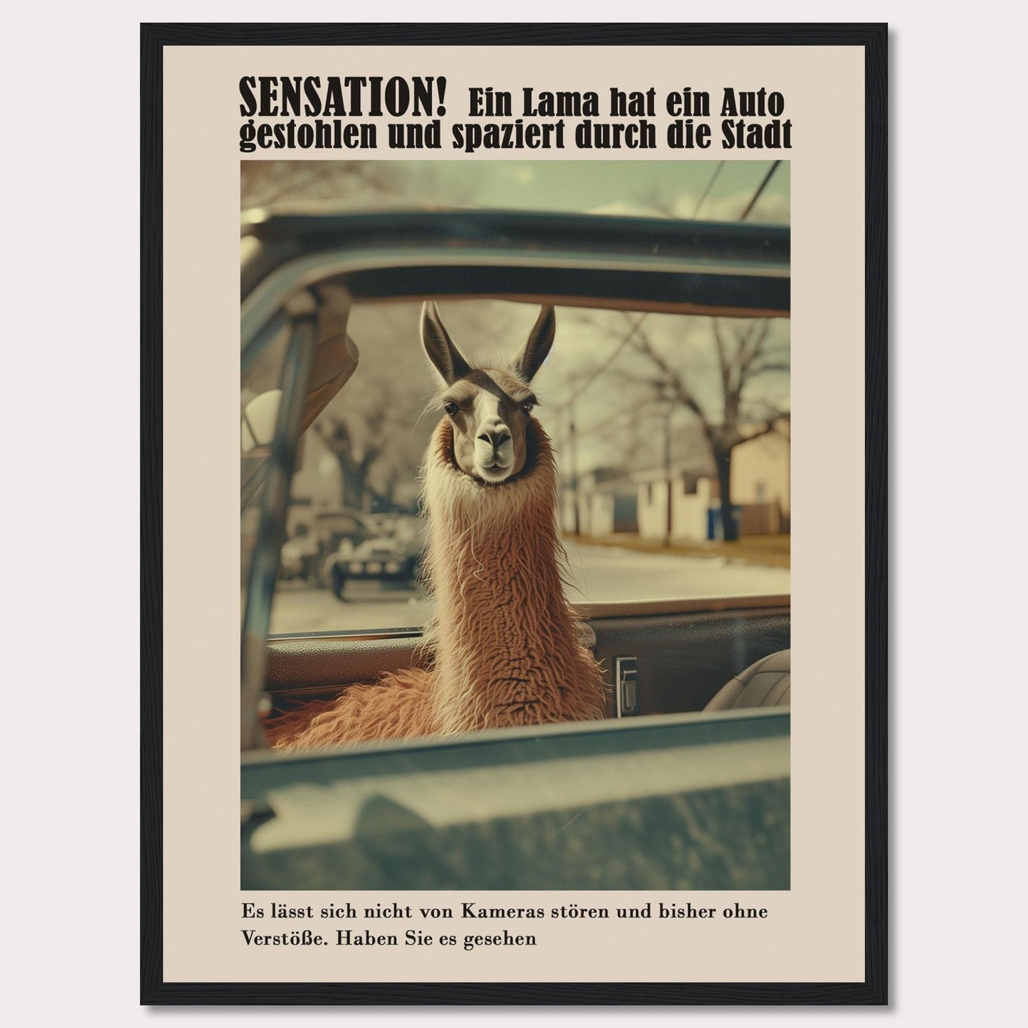 SENSATION! A llama has stolen a car and is strolling through the city.  It is not bothered by cameras and so far has committed no offenses. Have you seen it?