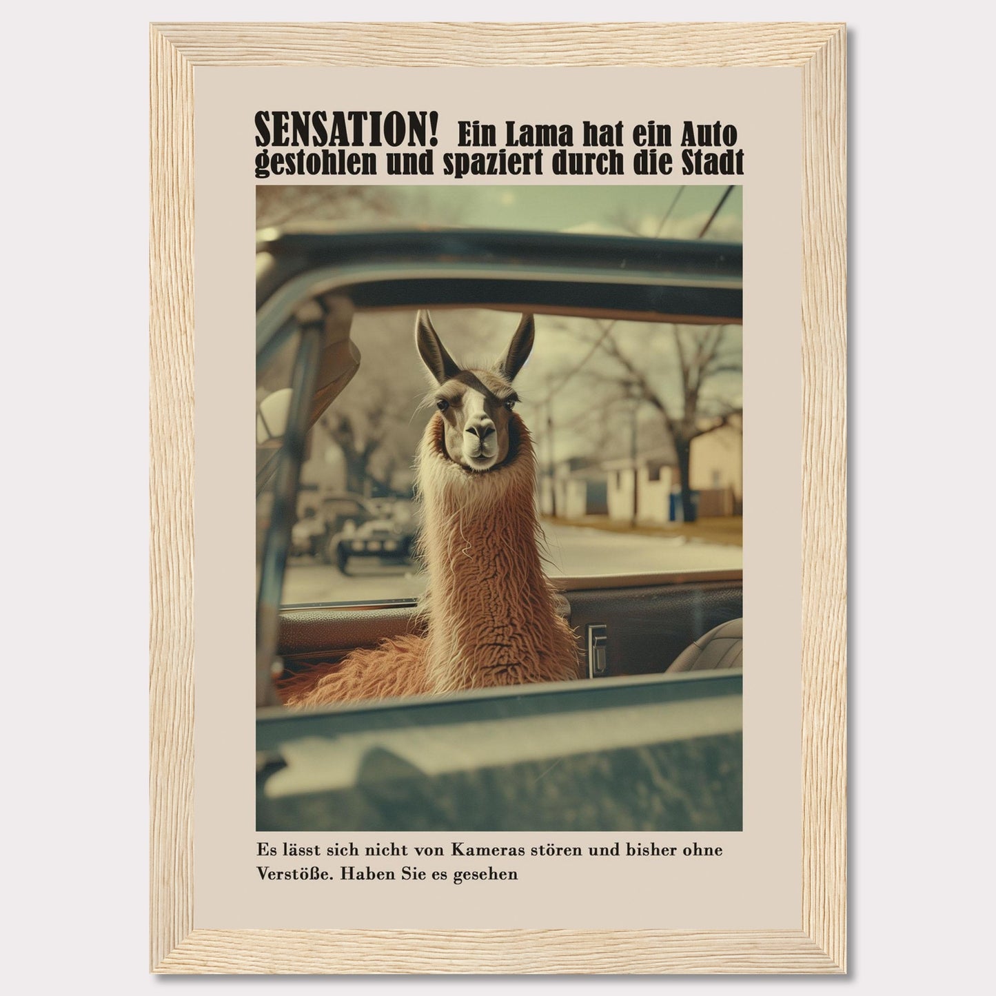 SENSATION! A llama has stolen a car and is strolling through the city.  It is not bothered by cameras and so far has committed no offenses. Have you seen it?